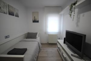 TV a/nebo společenská místnost v ubytování Apartamento los Pirineos Sabi + 54 fotografií