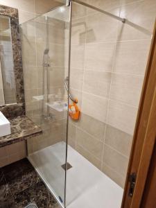 um chuveiro com uma porta de vidro na casa de banho em Green Park Ajuda Apartment no Funchal