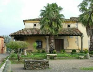 una casa con una palma di fronte di Casa Rural El Olivo a Guijo de Granadilla