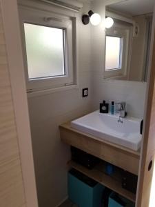 a bathroom with a sink and a window at La Tiny du Midi in Tourrettes-sur-Loup
