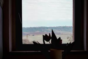 una planta en una ventana con vistas a un campo en LA TULIPA, en San Quirico dʼOrcia