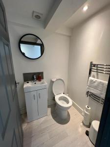 a bathroom with a toilet and a sink and a mirror at Guest Homes - Eign Street Apartments in Hereford