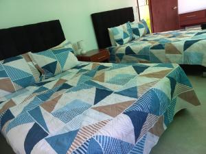 2 Betten mit einer Decke auf dem Zimmer in der Unterkunft LODGE ELIZABETH HOUSE in San Francisco