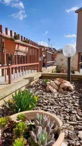 a garden with succulents and plants in a yard at Balo’s home in Venturina Terme