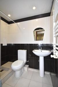 a bathroom with a toilet and a sink at 19Tumanyan Excellent apartment in the centre of capital in Yerevan