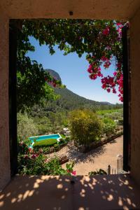 une vue depuis une fenêtre avec des fleurs et une piscine dans l'établissement Hotel Rural S'Olivaret & Spa, à Alaró