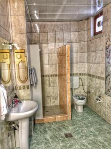 uma casa de banho com um chuveiro, um lavatório e um WC. em Golden BnB Hotel em Pristina
