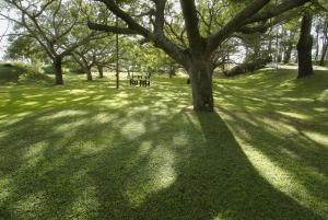 Um jardim em Hotel del Lago Golf & Art Resort