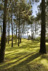 Paisagem natural perto do hotel