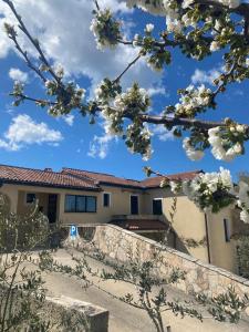 une maison avec un arbre à fleurs devant elle dans l'établissement Villa Ignoto, à Bale