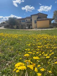 a field of yellow flowers in front of a building at Villa Ignoto in Bale