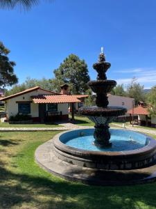 Κήπος έξω από το Cabañas Mazzatl 6 pax