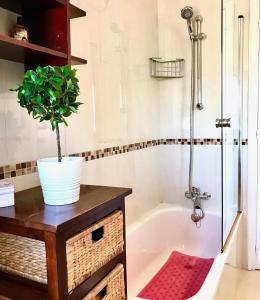 阿吉拉斯的住宿－Primera Linea de Playa con vistas al Mar，带浴缸的浴室和桌子上盆栽植物