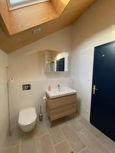 a bathroom with a toilet and a sink and a blue door at Le Pied du Loup - Maison de village clunisois au calme 6-7 personnes in Flagy