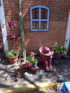 a garden with a wheelbarrow and a pot with flowers at La lagartija in San Pablo Etla