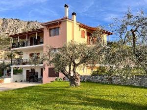 Сад в ενtreé guest house near Palamidi Castle