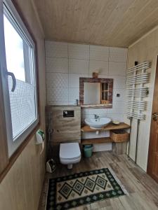 a bathroom with a toilet and a sink at Dom na Warmii in Lidzbark Warmiński