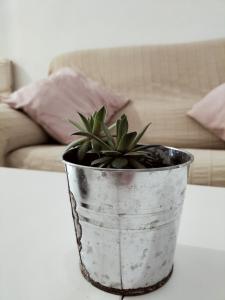 Posedenie v ubytovaní Apartamento Conil Gades Nömada B