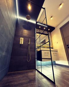 シビウにあるHarteneck Apartmentsのバスルーム(シャワー付)が備わる客室です。