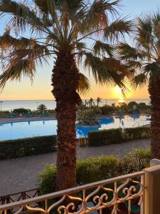 uma vista a partir da varanda de um resort com uma palmeira em Rais Gerbi Appartamento em Pollina