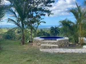 a stone fire pit in a field with palm trees at Piscina vista al mar, Jacuzzi con agua caliente in Río San Juan