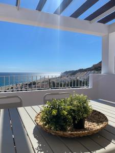 a balcony with two potted plants and a view of the ocean at RESIDENCIAL OASIS 3 in Mojácar