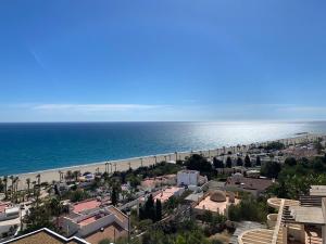 an aerial view of a beach and the ocean at RESIDENCIAL OASIS 3 in Mojácar