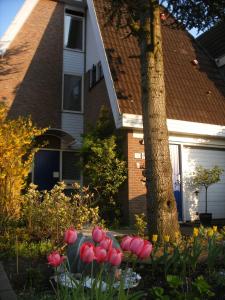 Zahrada ubytování B&B-Edam