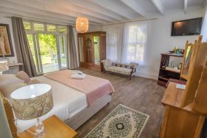 Montagu的住宿－葡萄園鄉村住宅酒店，一间卧室配有一张大床和一张沙发