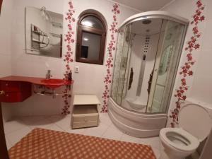 La salle de bains est pourvue d'une douche, de toilettes et d'un lavabo. dans l'établissement PENSIUNEA LUXURY, à Vama