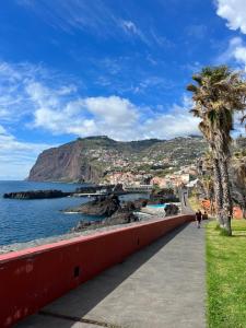 a person walking along a path next to the ocean at Anchor House in Câmara de Lobos