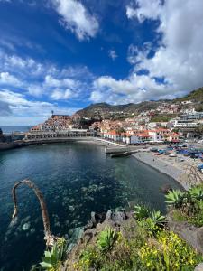 a large body of water with a beach and buildings at Anchor House in Câmara de Lobos