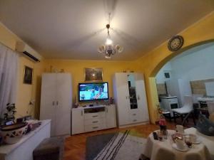TV a/nebo společenská místnost v ubytování Apartman Andrija