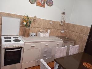 Kuchyň nebo kuchyňský kout v ubytování Apartman Andrija