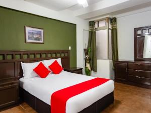 1 dormitorio con 1 cama grande con almohadas rojas en Hotel Halley en León