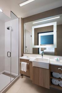 a bathroom with a sink and a shower at SpringHill Suites by Marriott Dallas Richardson/University Area in Dallas