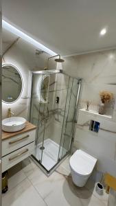 uma casa de banho com um chuveiro, um WC e um lavatório. em Pietranera studio proche de la mer à 2km de Bastia em Palagaccio