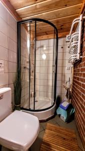 Ένα μπάνιο στο CHILL Village - Osikowy Apartament