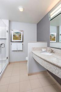 uma casa de banho com um lavatório e um espelho em Courtyard by Marriott Kalamazoo Portage em Portage