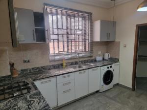 een keuken met een wastafel en een wasmachine bij VaQ Apartments in Spintex