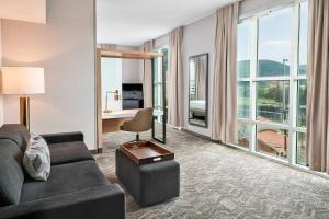 a living room with a couch and large windows at SpringHill Suites by Marriott Roanoke in Roanoke