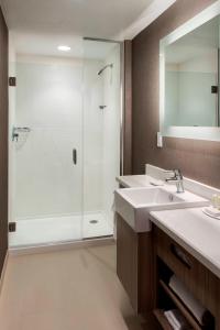 a bathroom with a shower and a sink at SpringHill Suites by Marriott Tampa Suncoast Parkway in Land O' Lakes