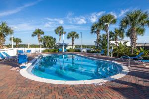 a large swimming pool with blue chairs and palm trees at Pinnacle Port PH22 in Panama City