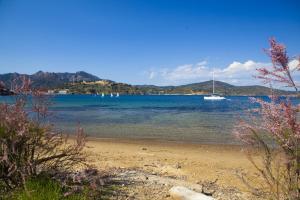 una spiaggia con una barca in acqua di Podere Grandolfi B&B a Capoliveri