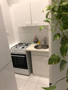 a kitchen with a stove and a sink at INDUSTRIAL STUDIO 1 in Ljubljana