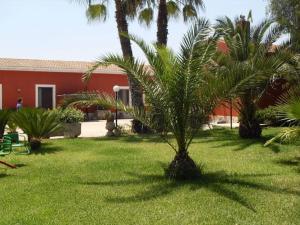 una palmera en un patio al lado de un edificio en Mediresidence Maeggio, en Contrada Maeggio
