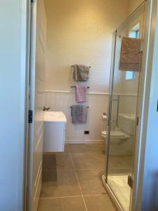 a bathroom with a shower and a sink and a toilet at Luxury on Howden in Te Anau