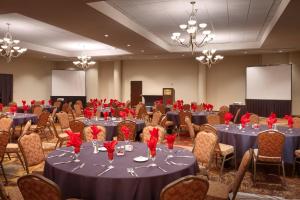 einen Konferenzraum mit blauen Tischen, Stühlen und roten Rosen in der Unterkunft Salt Lake City Marriott University Park in Salt Lake City