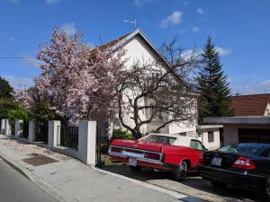 Fotografia z galérie ubytovania Twin-Magnolias Condo with Garden, Parking & EV Station v Záhrebe