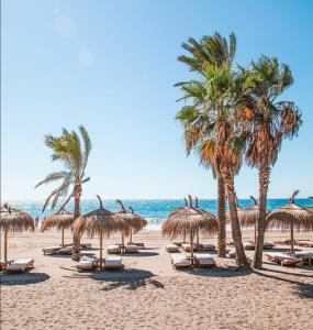 a beach with chairs and palm trees and the ocean at EL ESTUDIO DE LA PLAYA BENALBEACH 804 Holidays Paradise in Benalmádena